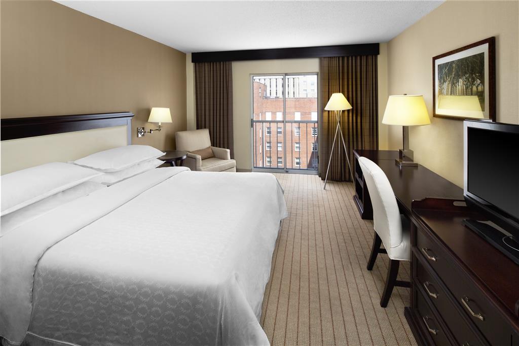 Sheraton Raleigh Hotel Rom bilde